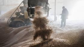 Закупки зерна в интервенционный фонд РФ упали до нового антирекорда
